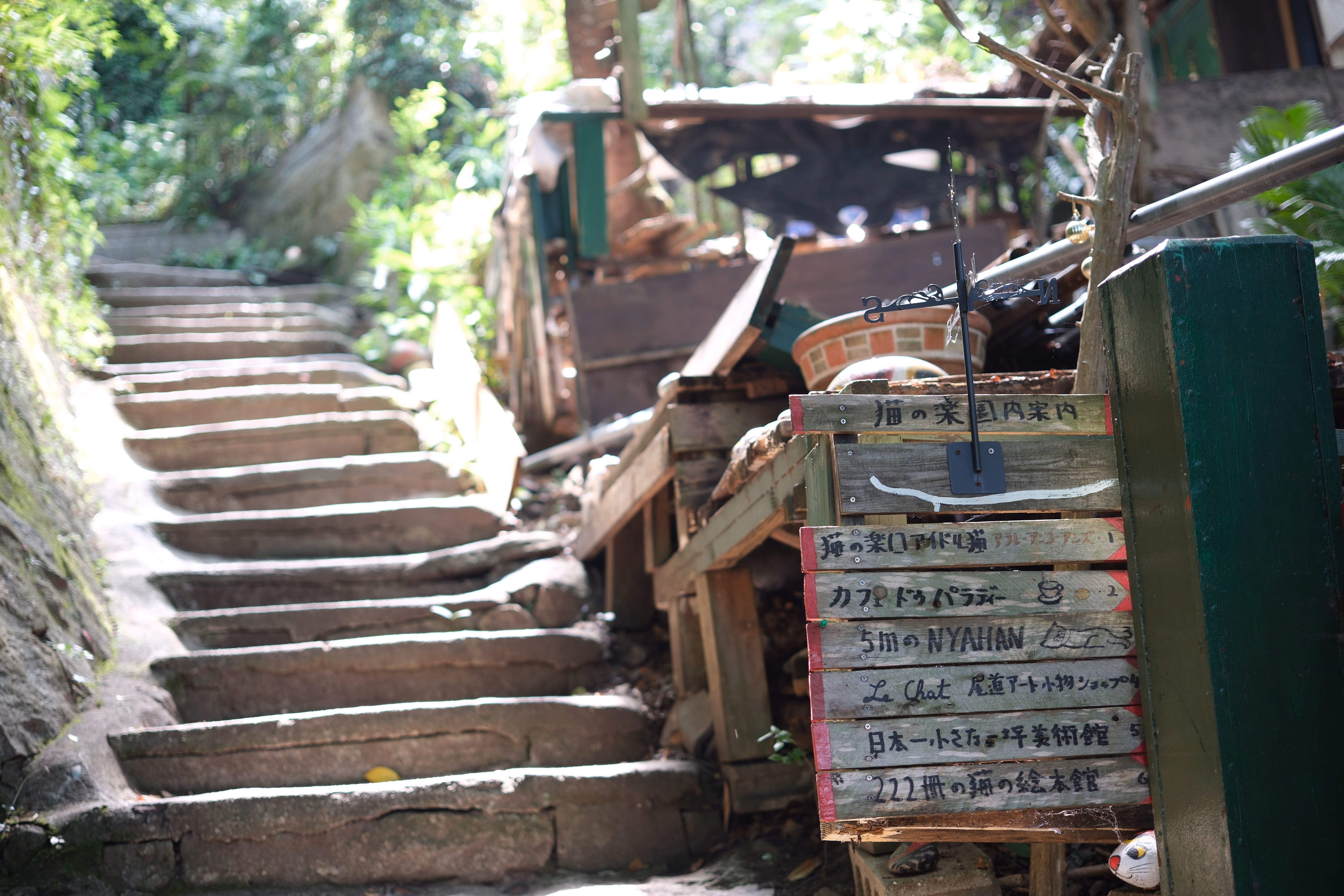 a system in dynamic equilibrium, when subjected to an external stress, will adjust to counteract that stress and establish a new equilibrium